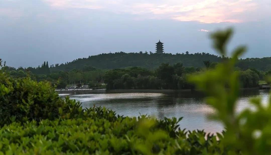 大津培训（浙皖站） | 一年之计在于春 培训进修合法时