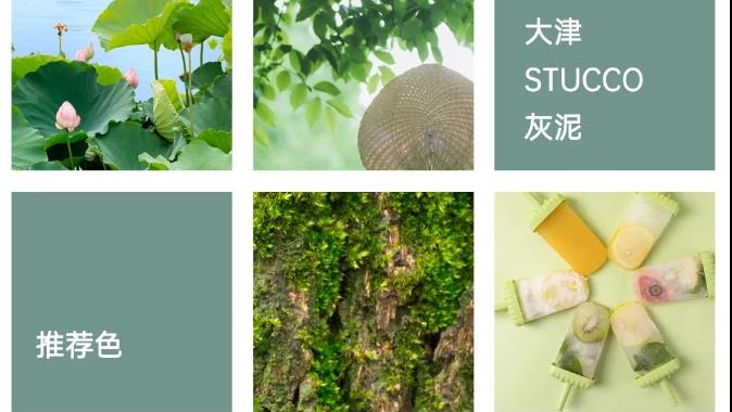 保举色 | 不比绿色更合适炎天了